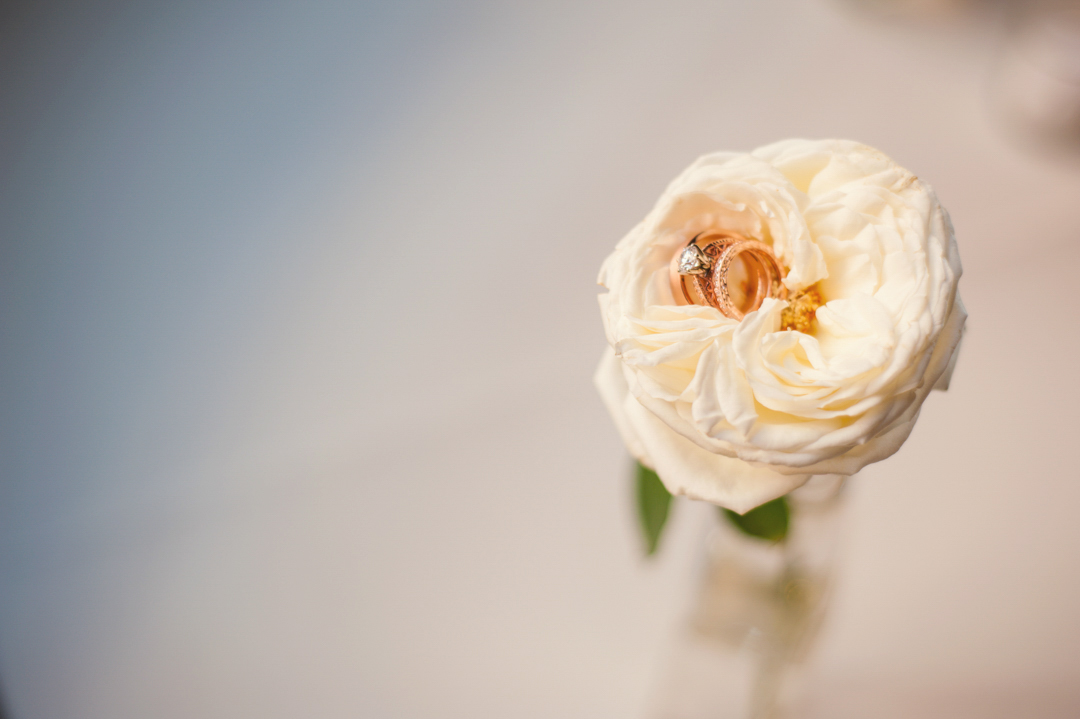 Rings at Marietta Brickyard Wedding with Unicorns