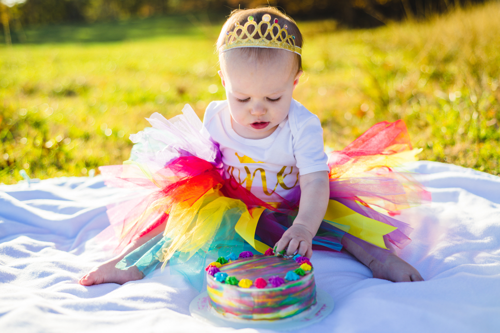 one year old cake smash with family photographer You are Raven